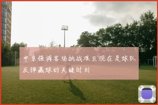 申京强调客场挑战艰巨现在是球队反弹赢球的关键时刻