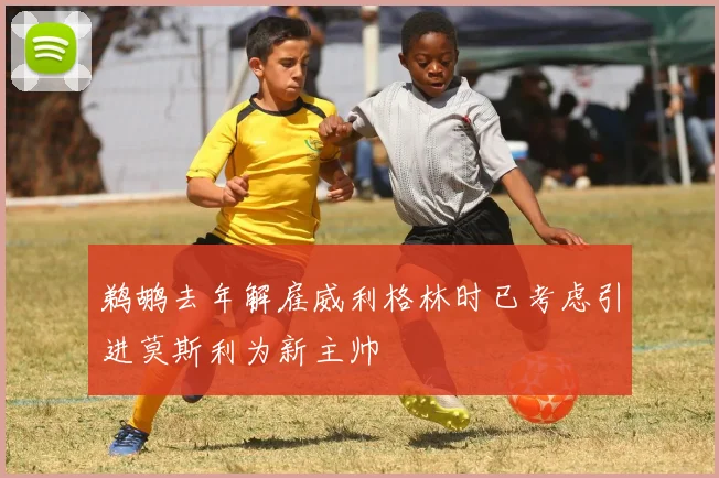 鹈鹕去年解雇威利格林时已考虑引进莫斯利为新主帅